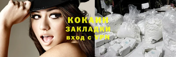 гашик Алзамай