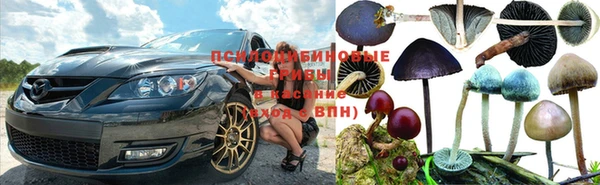 дживик Семёнов