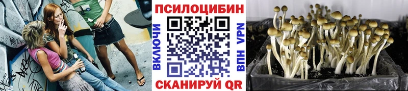 наркотики Ивдель MEGA маркетплейс Галлюциногенные грибы прущие грибы